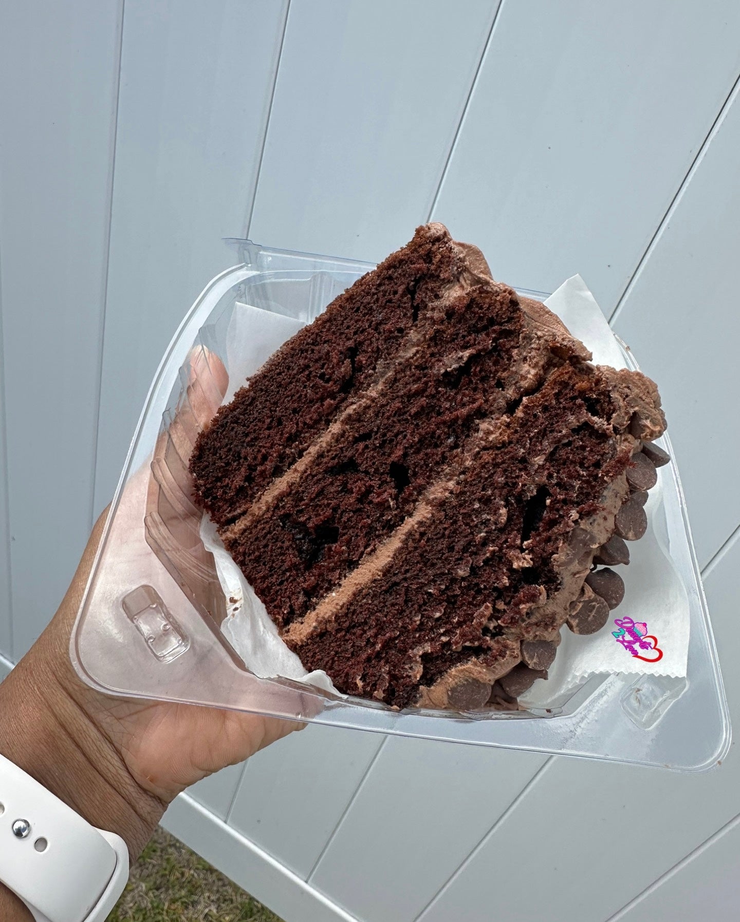 Chocolate Cake (Thanksgiving)