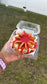Mini Cheesecakes (Dozen)*Needs to be booked a Week in advance*