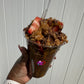 Dubai Biscoff Chocolate Strawberry Cup