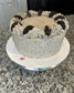 Cookies n Cream Cake