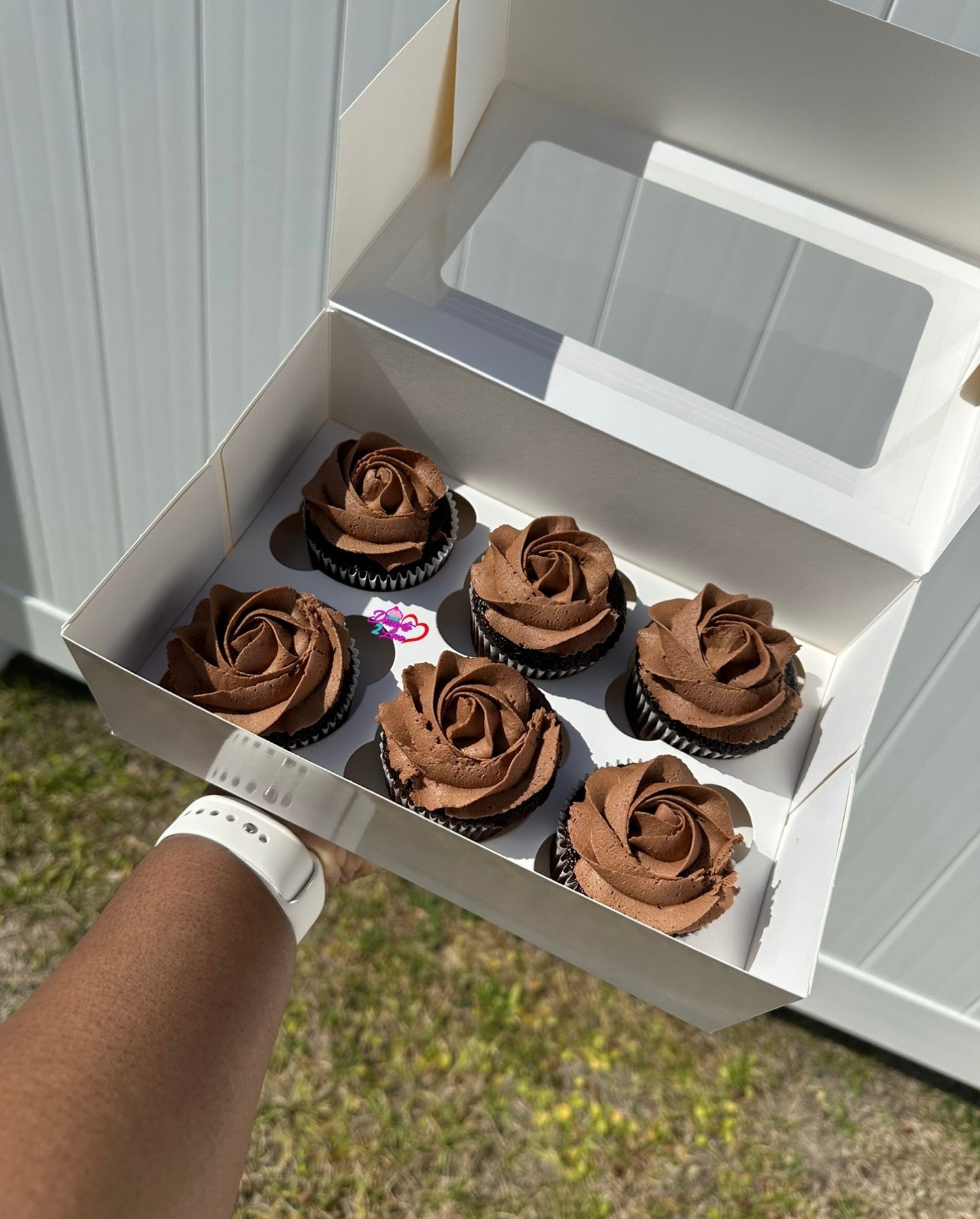 Chocolate Cupcakes