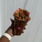Dubai Biscoff Chocolate Strawberry Cup
