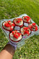 Red Velvet Cupcakes