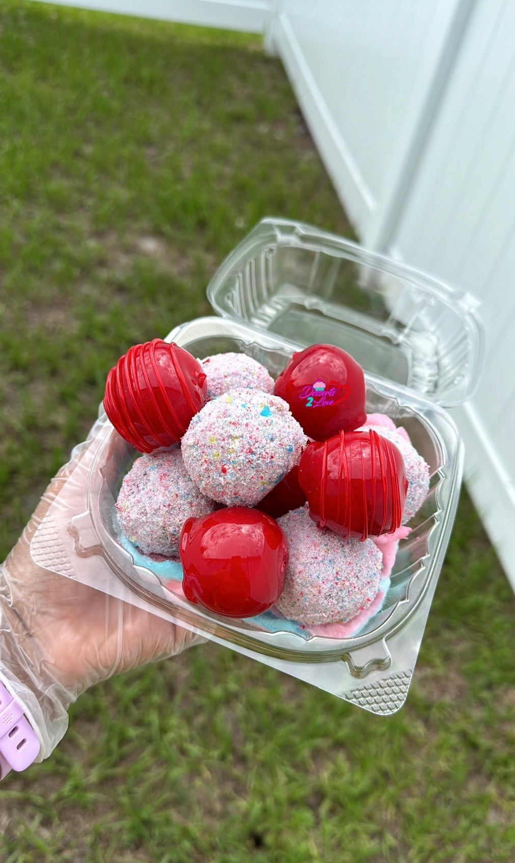 Candied Cherry Plums (Small)